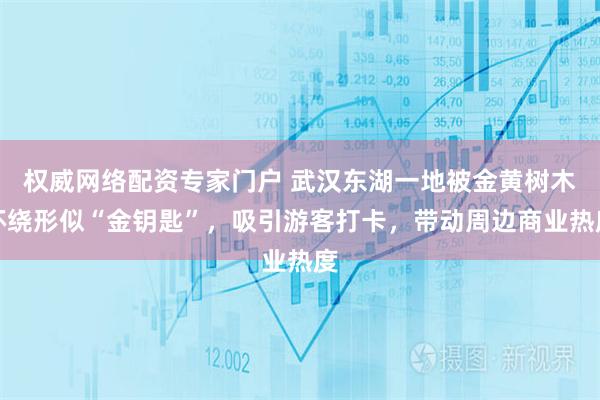 权威网络配资专家门户 武汉东湖一地被金黄树木环绕形似“金钥匙”，吸引游客打卡，带动周边商业热度